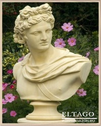 Apollo Belvedere bust